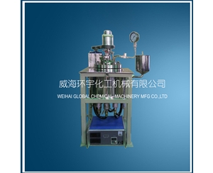 5L Hydrogenation Reactor with Explosion proof Motor